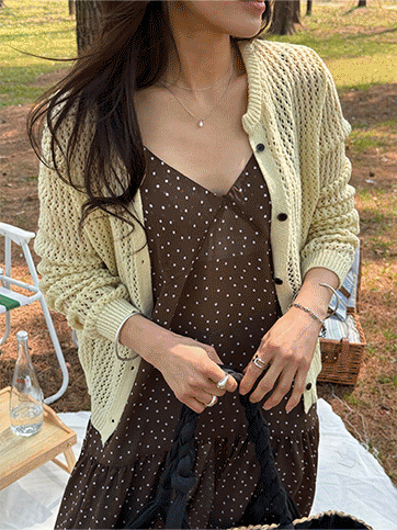 혼리오 스카시가디건